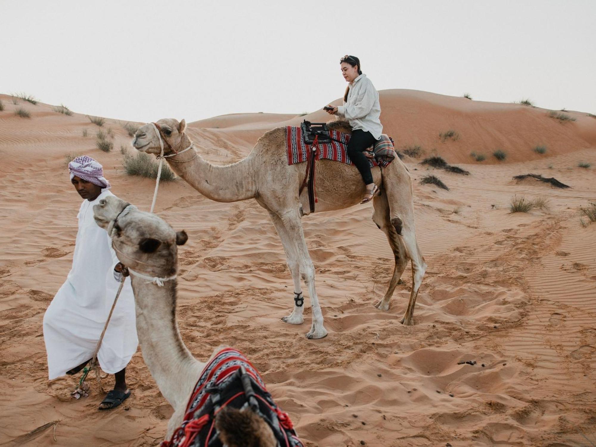 Desert Waves Camp Badīyah Eksteriør bilde